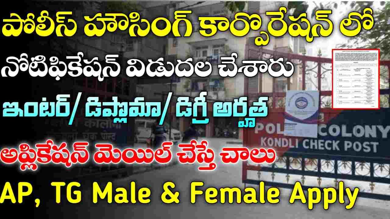 DPHCL Recruitment 2025