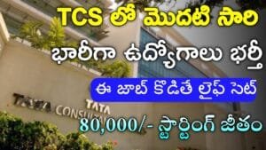 TCS Notification 2025