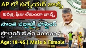 AP Surveyor Jobs 2025