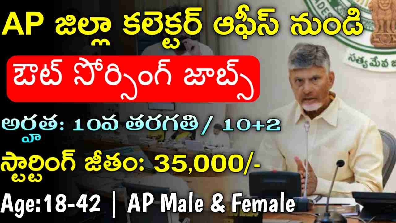 AP Collector Office Jobs 2025