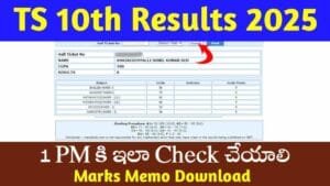 TS 10th Results 2025