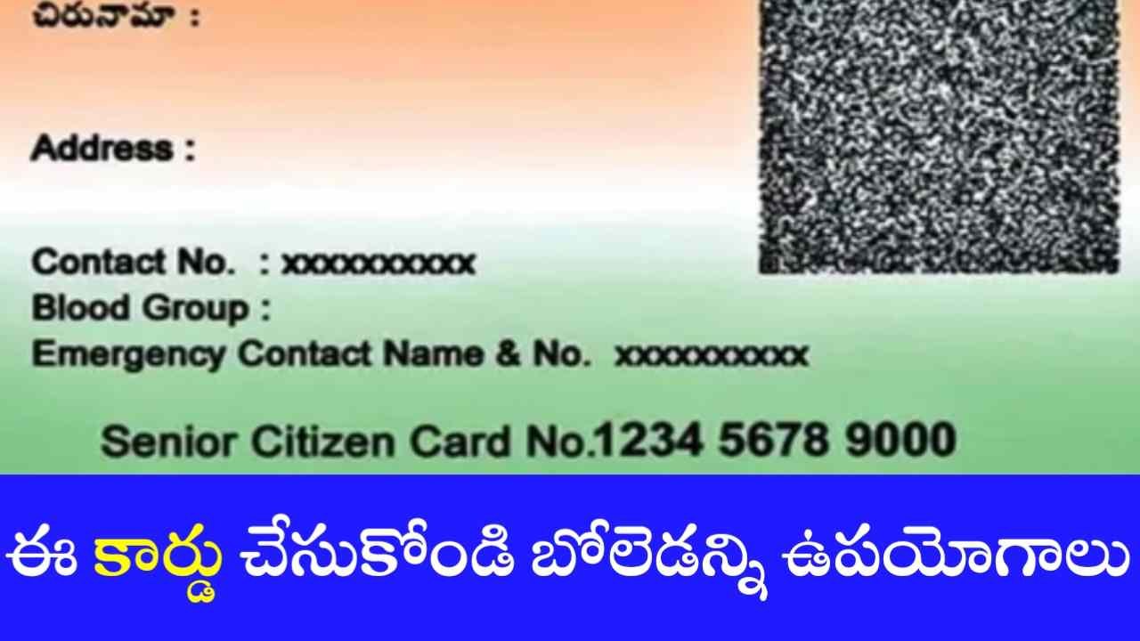 Senior Citizen Card