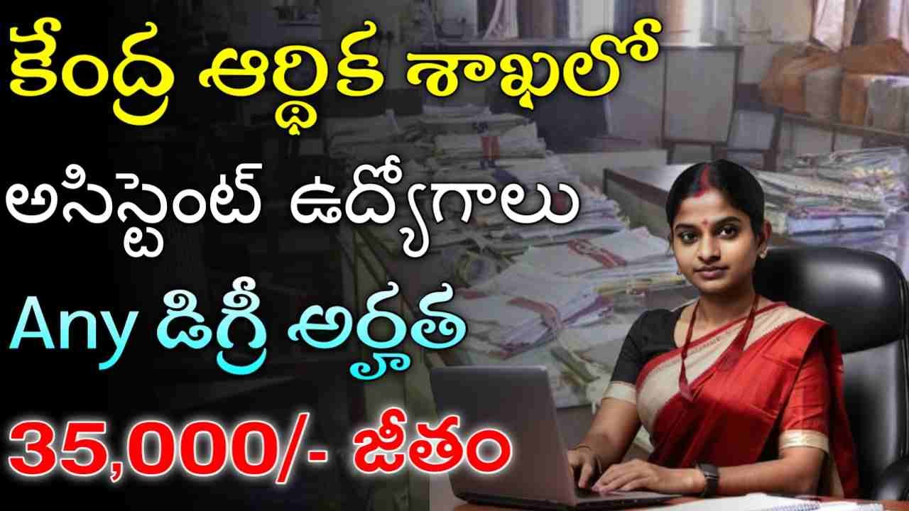 Assistant Jobs in NMDFC