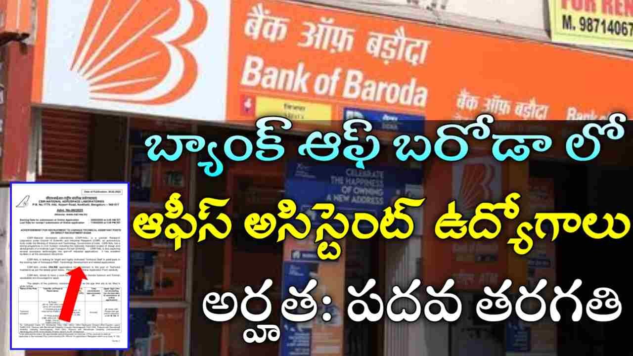 BOB Bank Jobs 2025