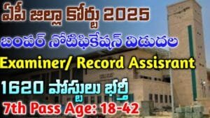 AP Record Assistant Jobs 2025