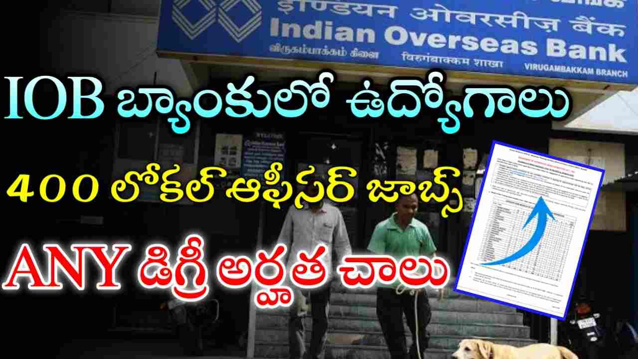 IOB Bank Jobs 2025