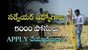 Licensed Surveyor Jobs 2025