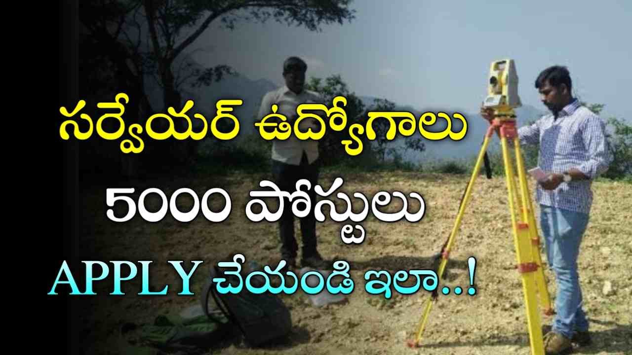 Licensed Surveyor Jobs 2025