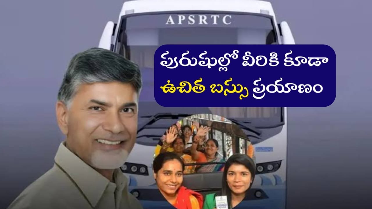 AP Free Bus Ticket Scheme
