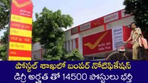 Postal Assistant Jobs 2025