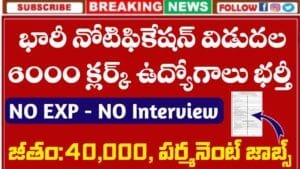 IBPS Clerk Recruitment 2025