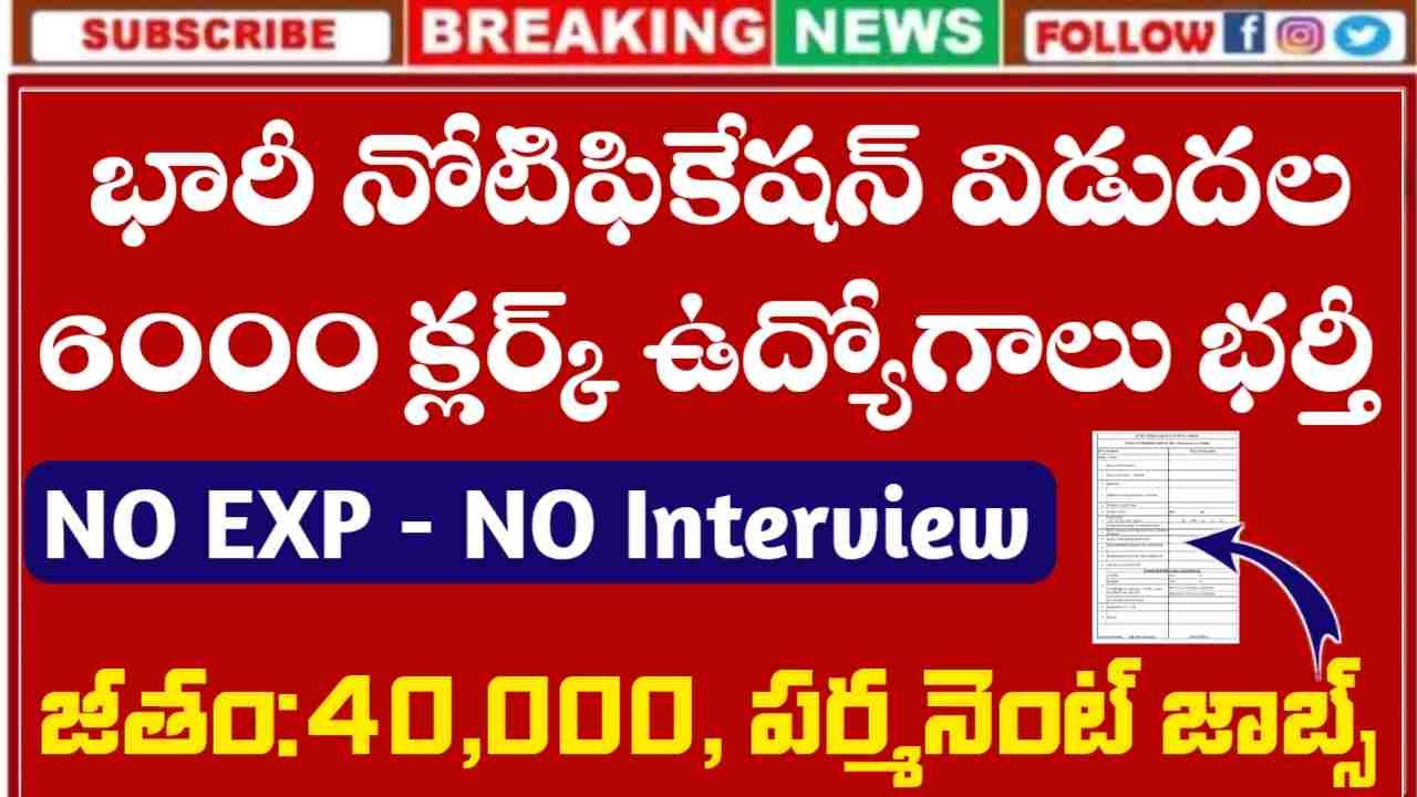 IBPS Clerk Recruitment 2025