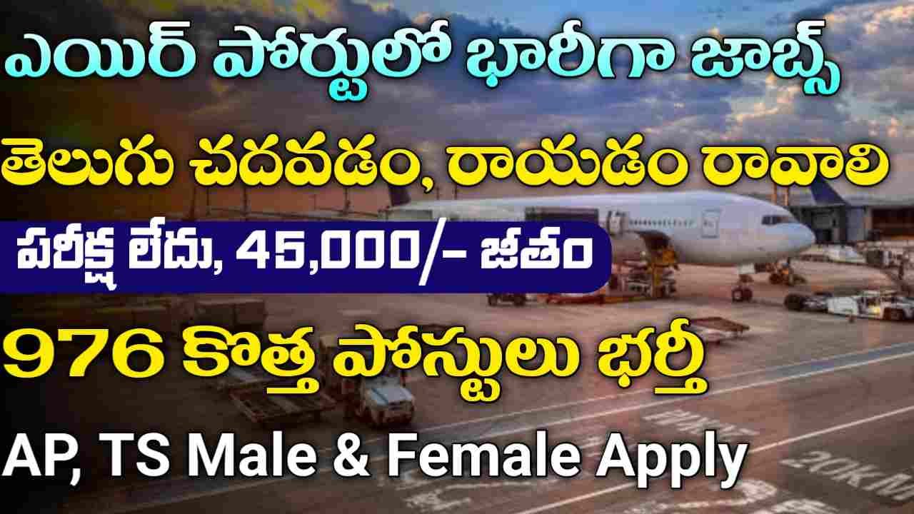 AAI Junior Executive Jobs 2025