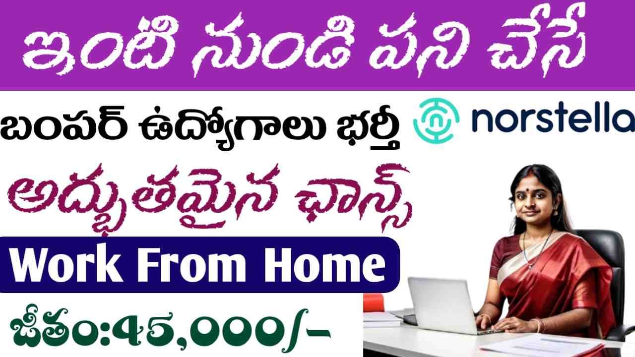 Norstella Work From Home Jobs