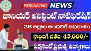 AP Junior Assistant Jobs 2026