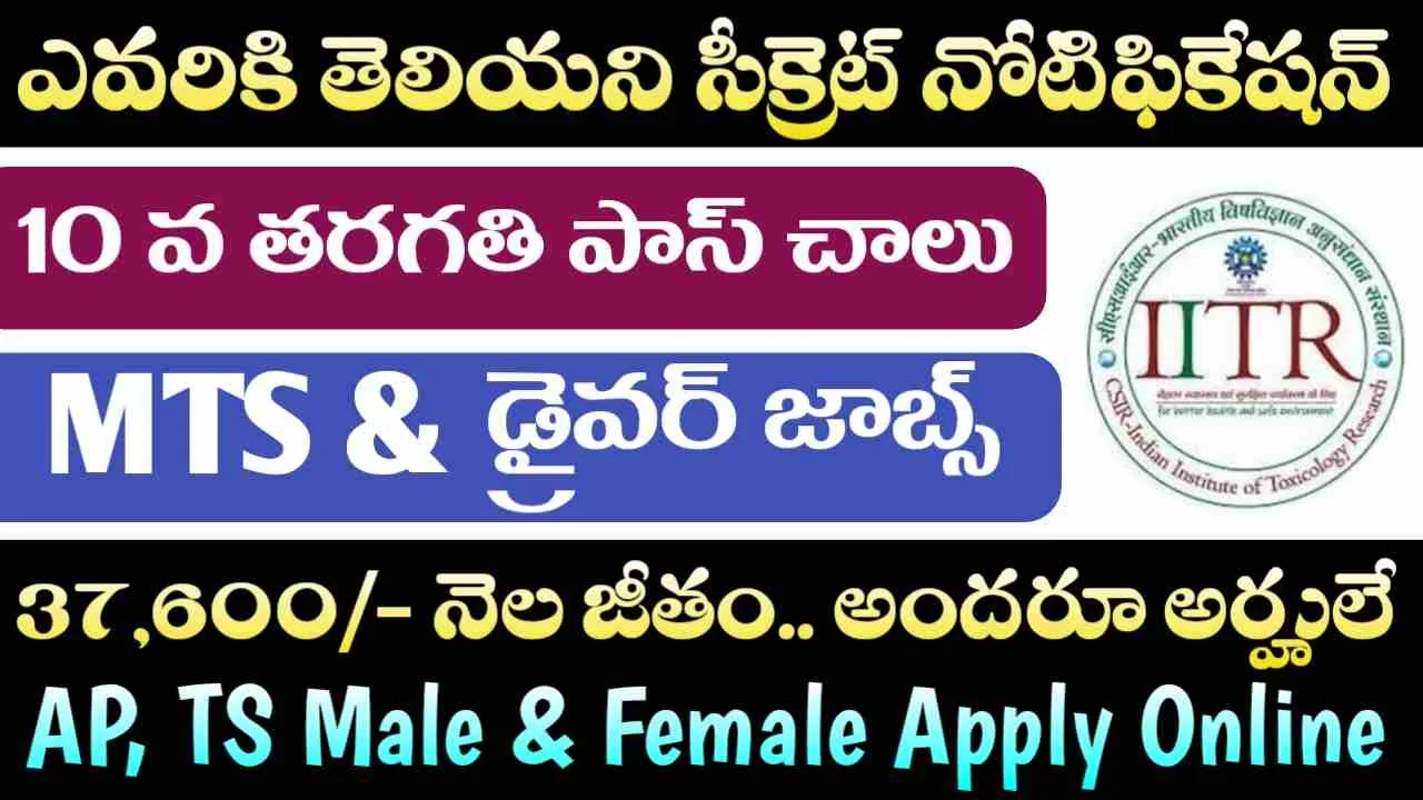 CSIR IITR Jobs 2026