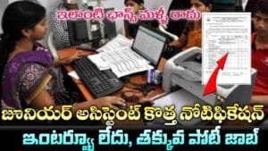 Junior Assistant Jobs 2026