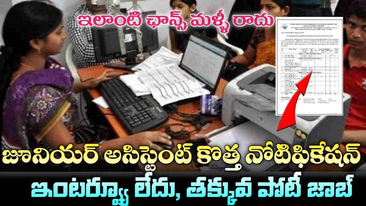 Junior Assistant Jobs 2026