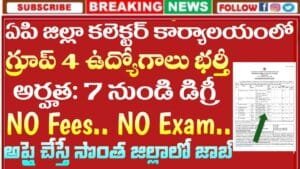 AP Collector Office Jobs 2026