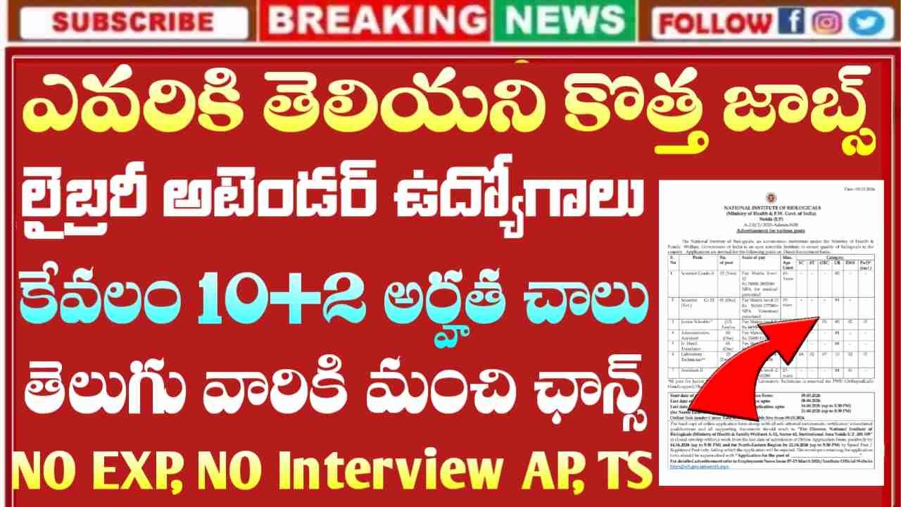 Library Attendant Jobs 2026