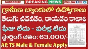 Junior Officer Jobs 2026