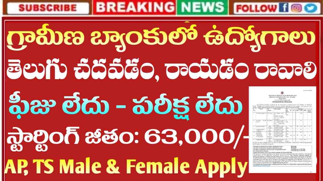 Junior Officer Jobs 2026