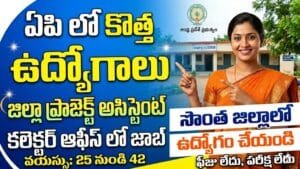 AP DPA Jobs 2026
