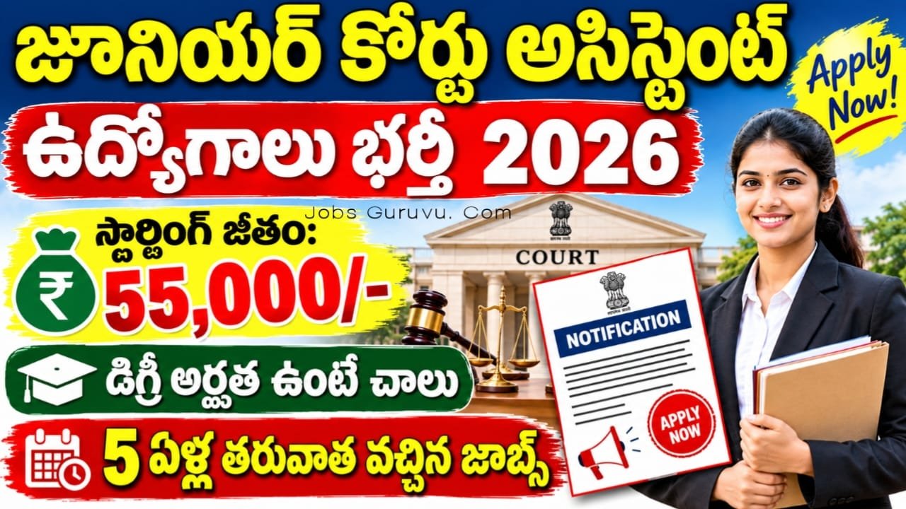 Junior Court Assistant Jobs 2026