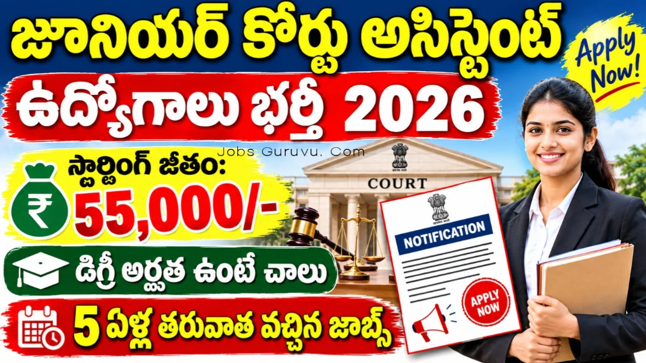 Junior Court Assistant Jobs 2026